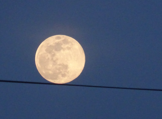 A última super lua do ano Região de Rio Maior