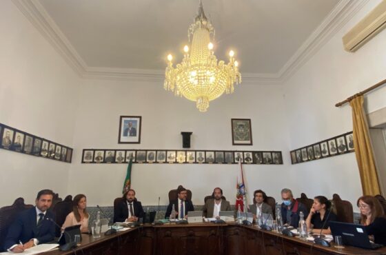 Ler Artigo