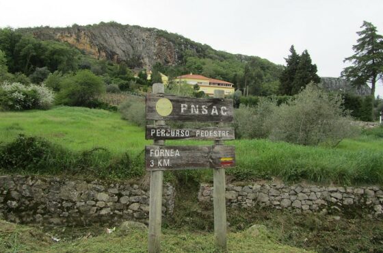 Ler Artigo