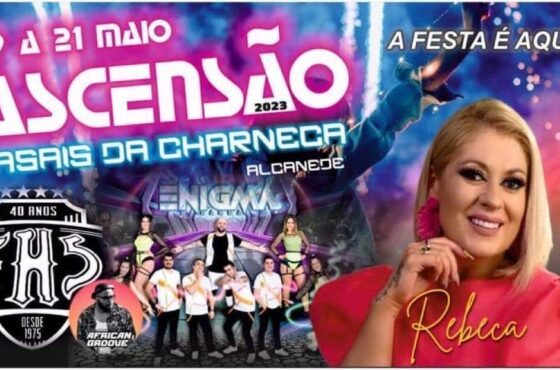 Ler Artigo