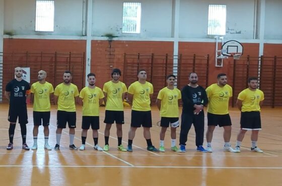 Ler Artigo