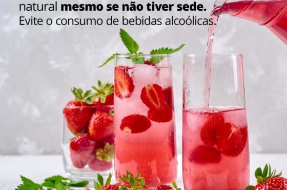Ler Artigo