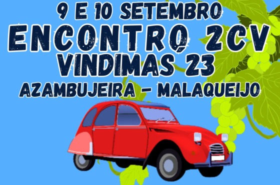 Ler Artigo