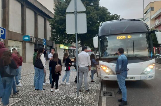 Ler Artigo