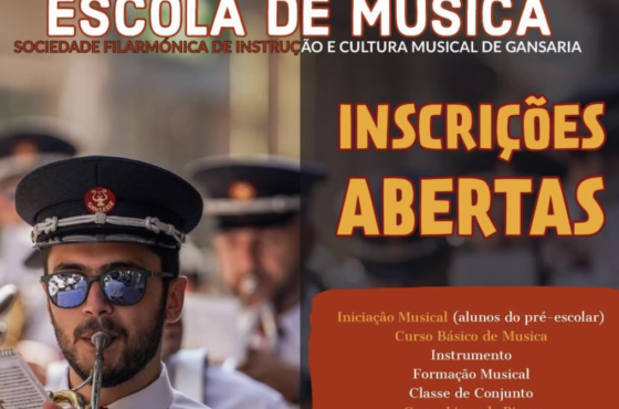 Ler Artigo