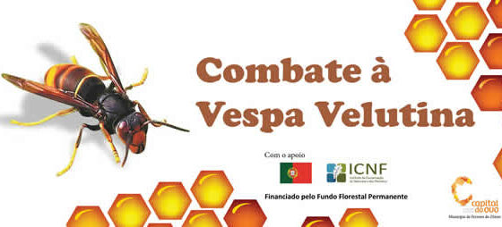 Ler Artigo