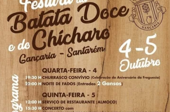 Ler Artigo