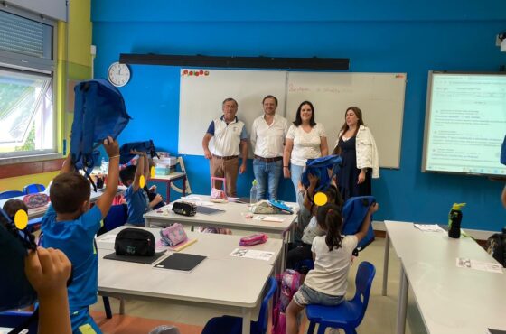 Ler Artigo