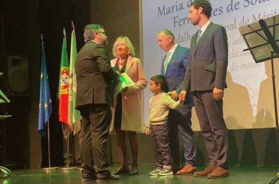 Ler Artigo