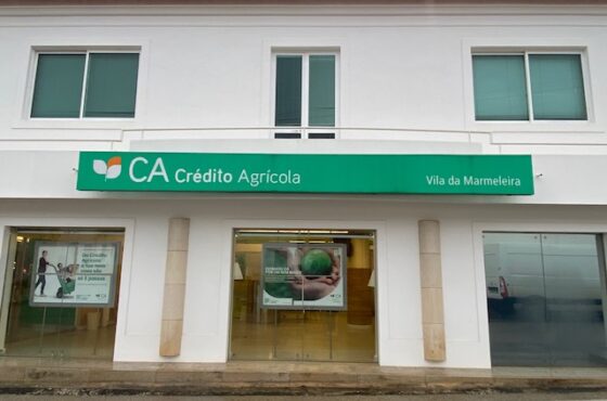 Ler Artigo