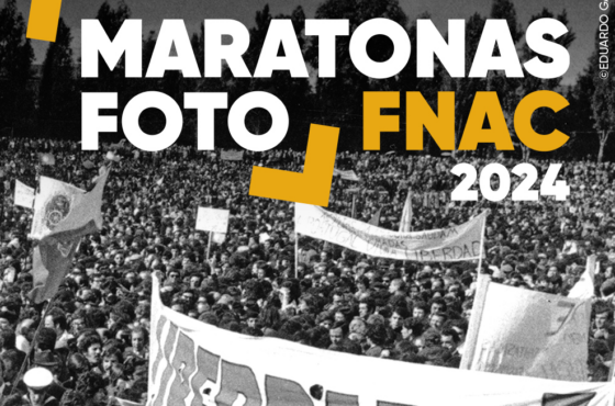 Ler Artigo