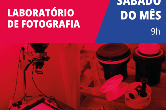Ler Artigo