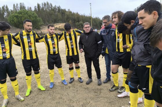 Ler Artigo