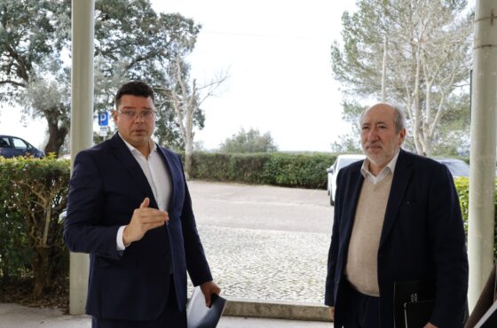 Ler Artigo