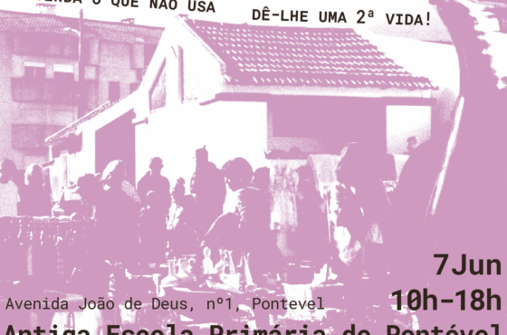 Ler Artigo