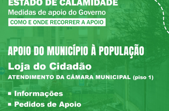 Ler Artigo