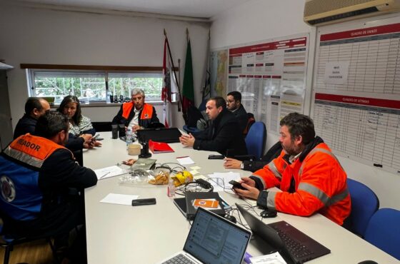 Ler Artigo