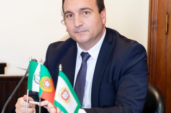 Ler Artigo