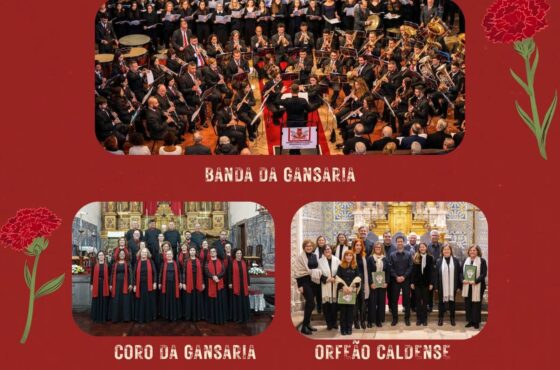 Ler Artigo