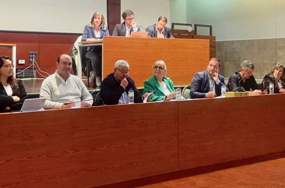 Ler Artigo