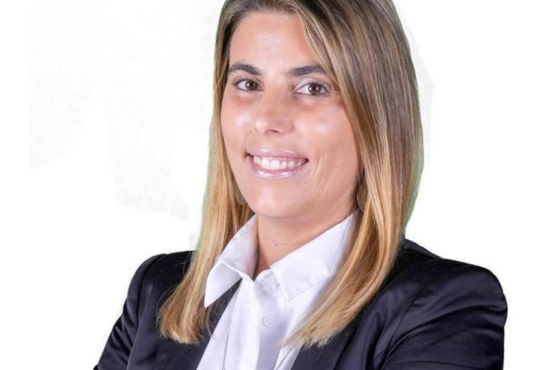 Ler Artigo