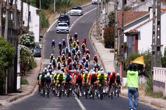 Ler Artigo